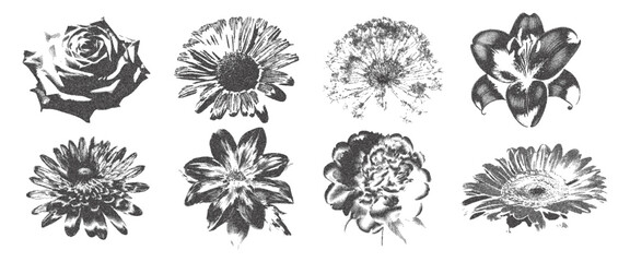 Vintage floral elements in retro grunge style. The effect of granularity. Vector.