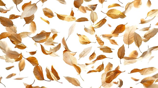Golden Autumn Leaves: A Serene Dance of Falling Foliage