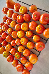 Summer Harvest: Vibrant Tomatoes Cooling