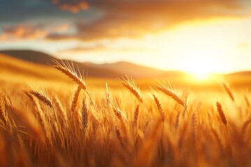 Obraz premium A 3D-rendered wheat field with dynamic lighting showing each stalk swaying in the breeze, with a dramatic sunset as the backdrop