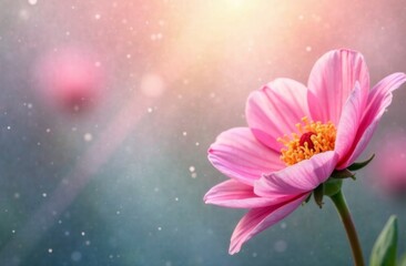 close-up of a vibrant pink flower with golden stamens in soft sunlight and glittering particles on a dreamy blurred background. concept of floral design, wellness branding, and event decoration.
