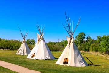 Three teepees are standing in a field with a blue sky above them