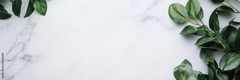 Leinwandbilder decorative green leaves on a white marble surface providing a clear space for text placement and des
