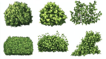 Fototapeta premium A diverse set of realistic illustrations depicting various types of green leafy bushes, showcasing the rich textures and shapes common in natural vegetation.