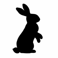 Obraz premium A black rabbit is sitting on the ground. It has a black body and white ears. The rabbit is looking up at the camera