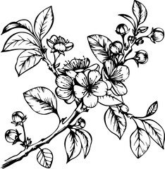 twig with plum, apple and cherry blossoms. vector illustration
