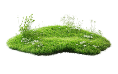 Artificial Green Carpet isolated on transparent Background