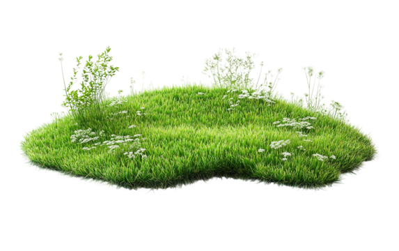 Artificial Green Carpet isolated on transparent Background