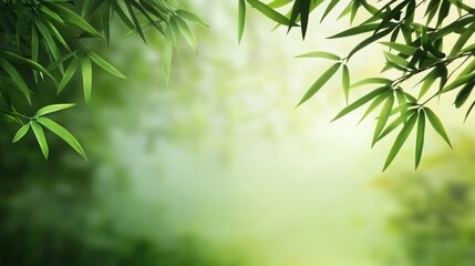 Naklejka premium Delicate willow branches in fresh green, soft morning light, serene and minimalist Qingming Festival scene.