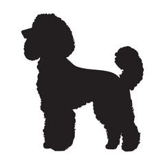 Poodle dog side view standing pose silhouette vector illustration
