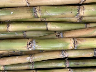 Fototapeta premium A close-up of multiple sugarcane stalks laid horizontally