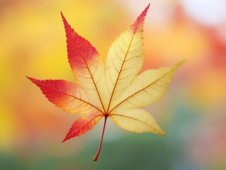 Autumn Maple Leaf Red Yellow Gradient Colors Nature Background