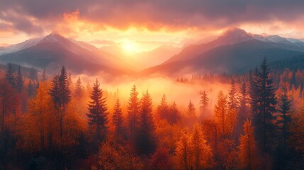 Majestic sunrise over foggy autumn mountain forest.