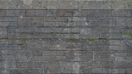 Brick Wall Texture