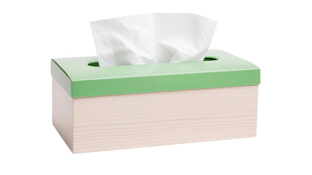 Pastel Green and White Tissue Box Modern Home Decor Clean Design Simple Elegance Tissue Dispenser