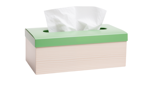 Pastel Green and White Tissue Box Modern Home Decor Clean Design Simple Elegance Tissue Dispenser