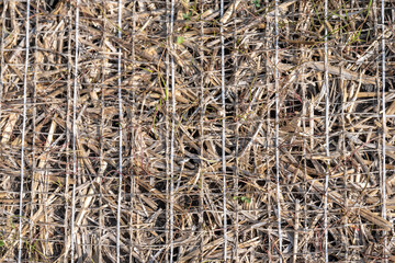 Woven straw mat used for stormwater erosion control with grass growing through 