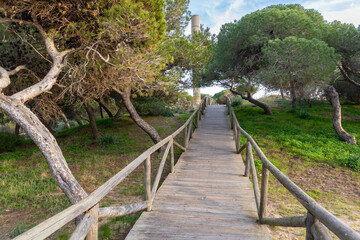 Rota, Stadt im Südwesten, Spanien,  Andalusien in der Provinz Cádiz / Costa de la Luz / Park neben dem Strand © Harald Schindler