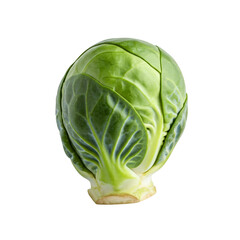 Obraz premium Single Green Brussels Sprout Isolated on White Background