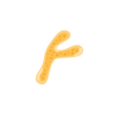 Bifidobacterium probiotic Illustration 
