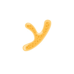 Bifidobacterium probiotic Illustration 