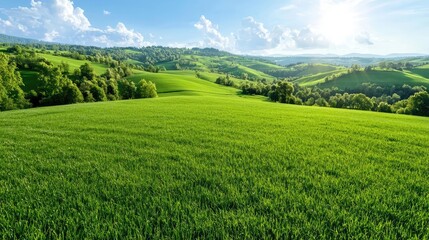 Obraz premium Sunny spring field in rolling hills landscape, perfect for travel and nature posters