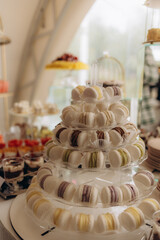 Assorted gourmet appetizers and desserts on display, luxury events, catering, and celebrations