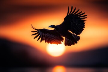 Obraz premium A pair of vultures silhouetted against a vibrant orange and purple sunset, their large wings spread wide