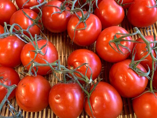 A cluster of ripe red tomatoes isolated against white background