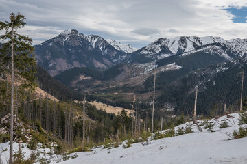 snow covered mountains, forest, cloudy sky