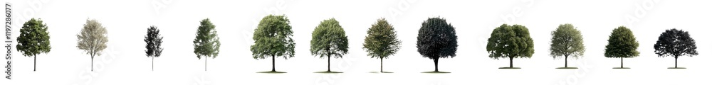 Aufkleber A collection of PNG images where a tree is set against a transparent background