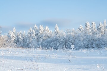 Winter wonderland at Jilin Xueling showcases stunning ice and snow scenery during the cold season