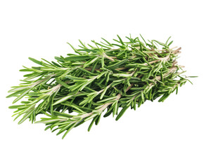 Fresh Rosemary Sprig - A Culinary Delight for Healthy Cooking , isolated on white background PNG