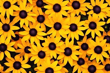 Vibrant Yellow Black Eyed Susan Flowers Blooming in Summer Garden