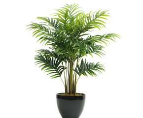 Stunning Artificial Palm Tree in a Stylish Pot - Perfect Indoor Decor , isolated on white background PNG