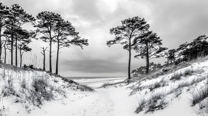 Obraz premium Monochrome View of Lake and Trees 