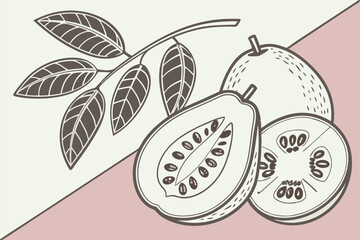 Guava fruit illustration, botanical art, pastel background, green and pink colors, minimalist design, vintage fruit label style, cut guava slices, tropical fruit, organic shape, vector graphic aesthet