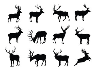 Silhouette of elk or deer