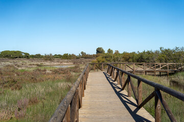 Obraz premium El Puerto de Santa María - Puerto Real / Naturpark der Bucht von Cádiz