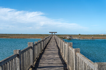 Fototapeta premium Brücke im Park El Puerto de Santa María mit Radfahrern - Puerto Real / Naturpark der Bucht von Cádiz
