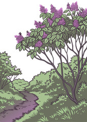 Scenic Illustration of Lilac Bushes and Nature Trail in Lush Greenery