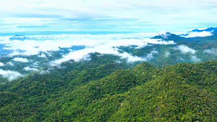Emerald hills are covered with dense forests, and light clouds gently drift across the peaks,...