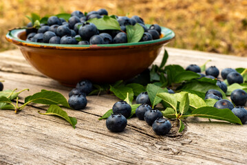 Blueberries lie on a wooden surface in a plate. Blueberries scattered on a wooden table
