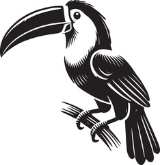 Beautiful Toucan Bird Silhouette vector illustration isolated on white backgournd