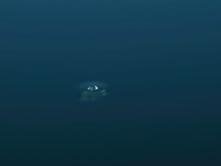 Fototapeta premium A delicate finger of crystal clear water stretches across the surface of a mirror-like lake, lake reflections, quiet moments