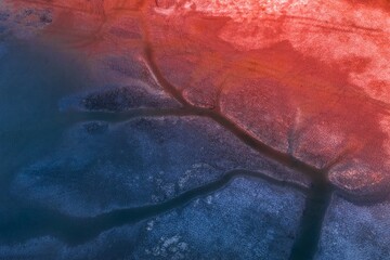 Naklejka premium Exploring the vibrant ecological landscape of Yellow Sea Wetland during sunset with stunning colors