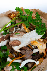 champignons frais à cuisiner