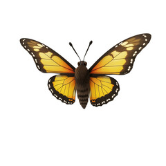 close-up of a yellow butterfly with brown accents on a white background