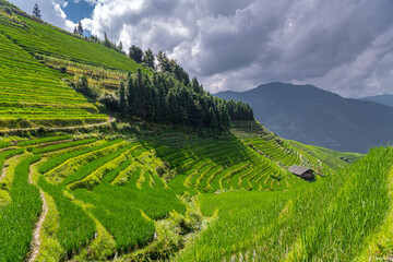 Fototapeta premium Yao Village Dazhai, Longsheng, near town of Guilin, Guangxi, China. Farmhouses in highlands of China