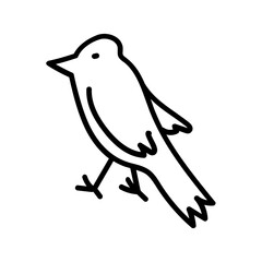 bird